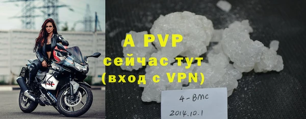 дурь Карпинск