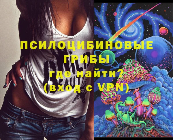 спиды Белокуриха